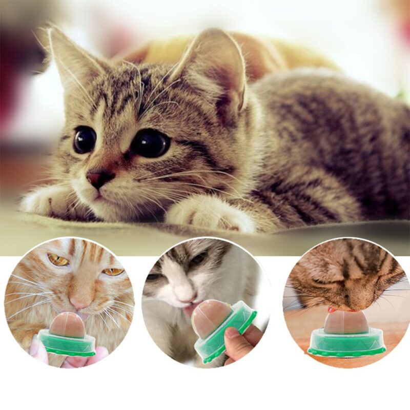 best toys for cats